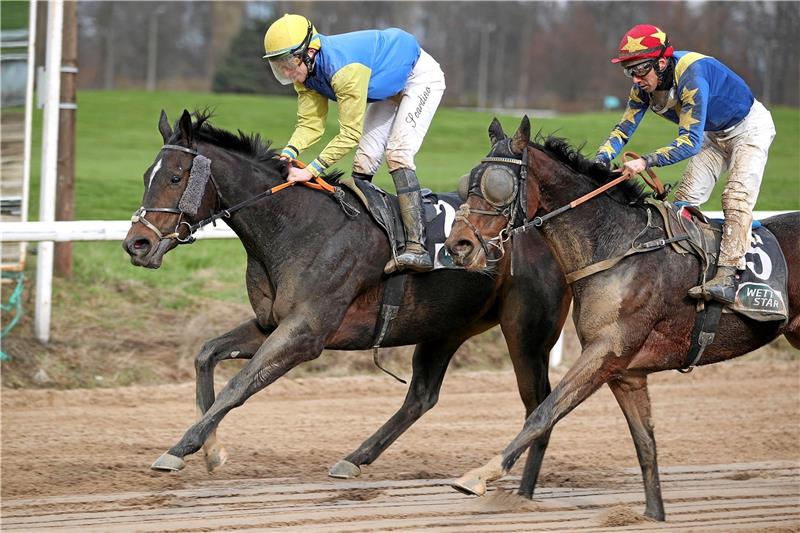 Agent Sim (links) setzt sich mit Tommaso Scardino im Sattel auf der Dortmunder Sandbahn sicher gegen den von Nicol Polli gesteuerten Stay First durch. Foto: Rühl