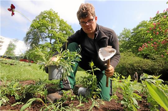 Alle Hände voll zu tun hat in diesen Tagen der Garten- und Landschaftsbauer Tobias Klaus, um auf dem Gelände der Landesgartenschau die Sommerblumen in die Erde zu bringen. Foto: Gereke
