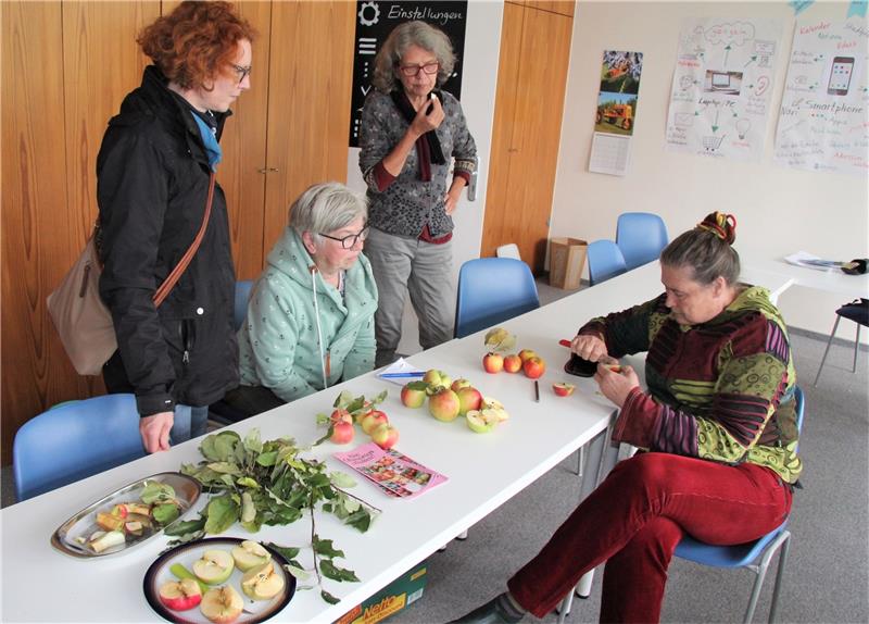 Sabine Fortak erkennt 25 verschiedene Apfelsorten Almut und Margot Pfannenschmidt (v.li), Antje Radcke (Öko Modellregion) und die Apfelsortenbestimmerin Sabine Fortak in Aktion. Foto: Hohaus