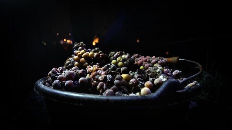 12 Fakten, die Sie über Alkohol wissen müssen Als Ursprung des Weinbaus kann Mesopotamien betrachtet werden.