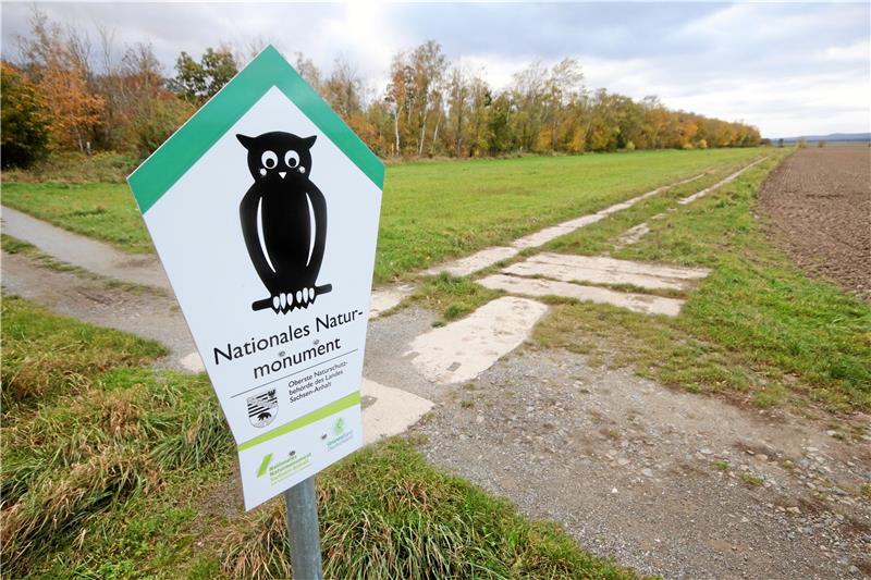 Alte Kolonnenwege kennzeichnen das Grüne Band bei Abbenrode. Foto: Gereke