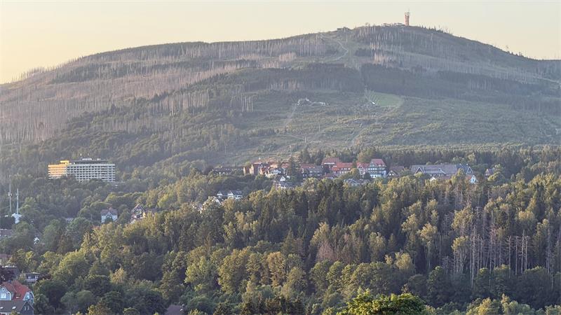 Das Foto zeigt das Panorama einer Stadt mit einem Berg.