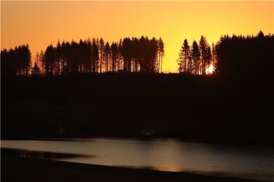 Am Abend des 20. März beginnt auf der Nordhalbkugel der Frühling.