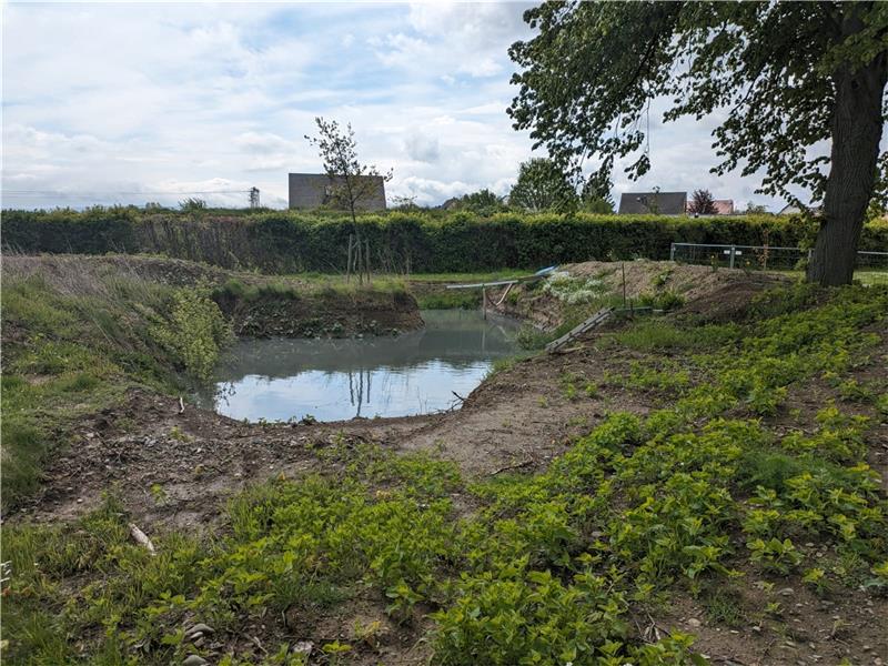 Freibad Schladen kurz vor der Eröffnung Am Ablassbecken wachsen jetzt 40 Schilfpflanzen als Nistplätz für Stare. Foto: Raksch