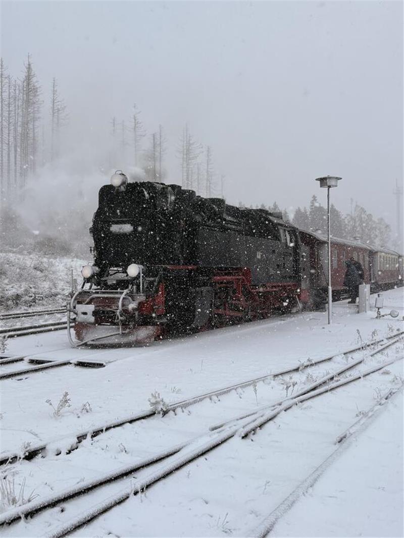 Am Bahnhof Schierke erinnert die verschneite Brockenbahn an den Polarexpress.