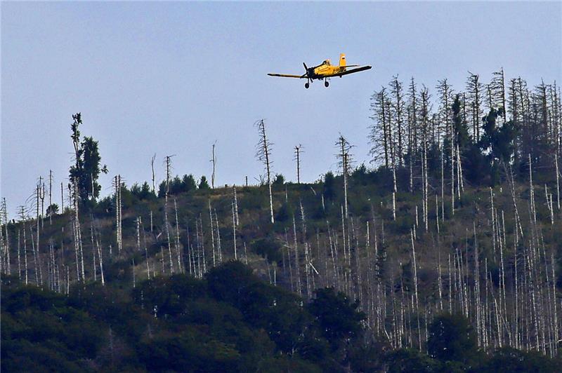 Am Bollrich in Goslar werden die kleineren Löschflugzeuge betankt. Die Feuerwehr...