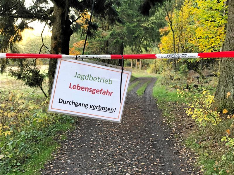 Nach Ärger im Jahr 2019: Wurmberg-Jagd jetzt im November Am Freitag, 19. November, werden die Wege am Wurmberg großflächig abgesperrt. An dem Tag gibt es eine große Jagd, unter anderem auf Reh- und Rotwild. Archivfoto: Eggers