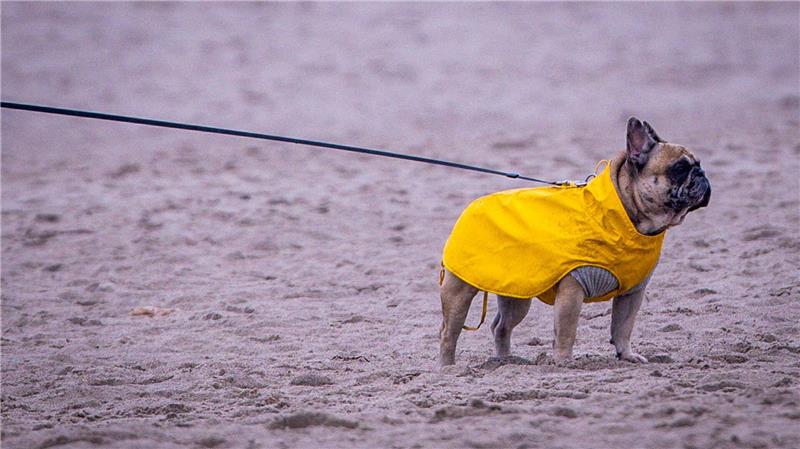 Am Freitag soll laut DWD ein stürmischer Südwestwind dichte Regenwolken über das Land peitschen. 