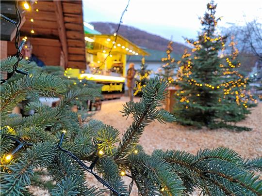Am Fuß des Burgbergs stehen bis zum 8. Januar Tannenbäume. Im Winterwald können es sich Besucher in weihnachtlicher Atmosphäre gemütlich machen.