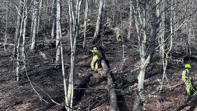 Waldbrand in Bad Harzburg: Polizei sucht nach zwei Jugendlichen Am Fuße de Burgbergs, neben der Kalten-Tal-Straße, wird das erste Feuer gelöscht.