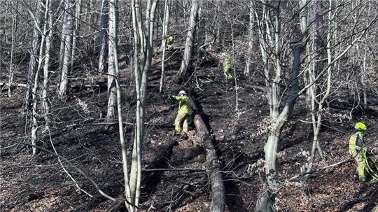 Am Fuße de Burgbergs, neben der Kalten-Tal-Straße, wird das erste Feuer gelöscht.