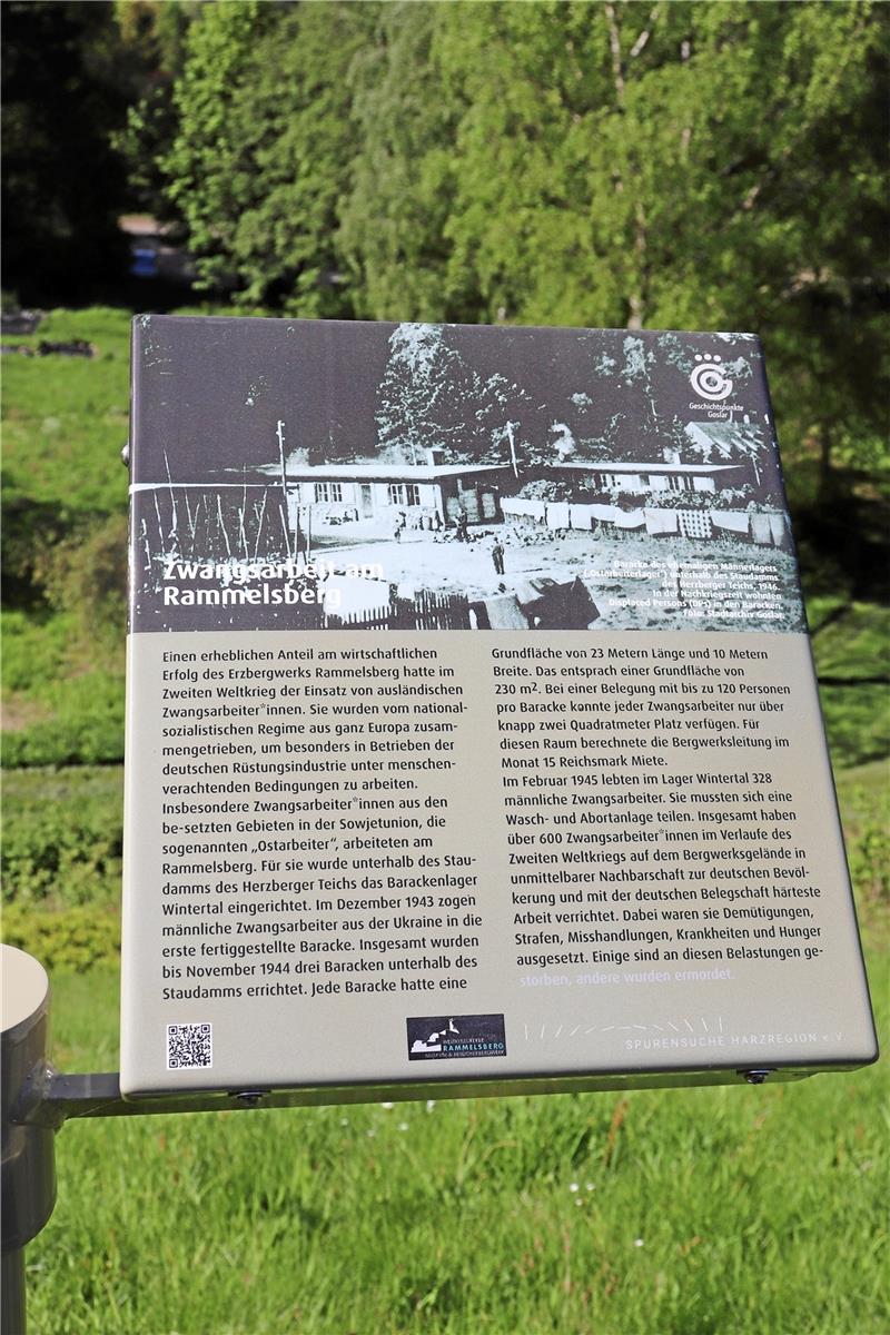 Gedenken: Info-Stelen enthüllen dunkles Kapitel von Goslar Am Herzberger Teich wiederum steht die Stele zum Zwangsarbeiterlager am Rammelsberg. Auf den ehemaligen Standort schaut man herunter. Foto: Kaspert