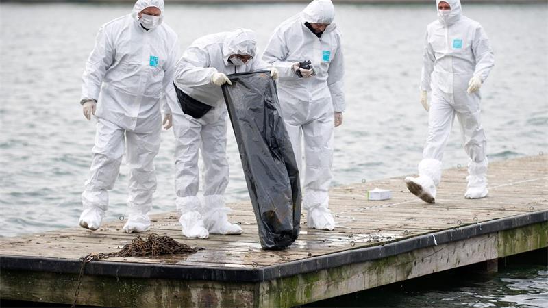 Am Maschsee in Hannover werden Spuren gesichert. (Archivbild) 