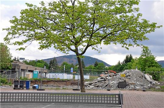 Am Montag wird der erste Spaten angesetzt: Der Neubau des Schulzentrums Goldene Aue kann beginnen.  Foto: Heine