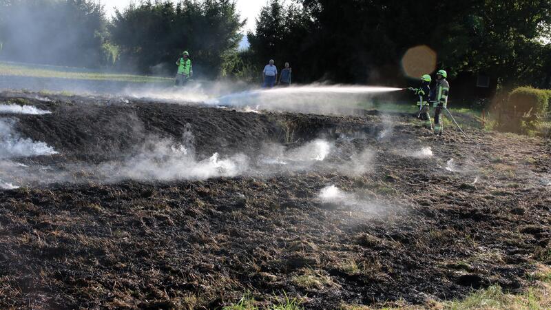 Wiese bei Othfresen in Flammen: Wind treibt Vegetationsbrand voran Am Montagabend brannte eine Wiese im Ortsrandlage.