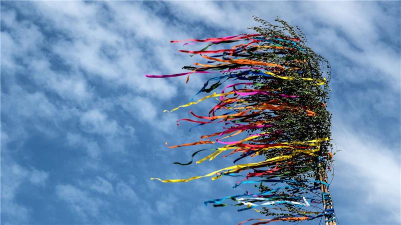 Maibaum kippt um - mehrere Verletzte Am Niederrhein ist ein Maibaum umgekippt - es gibt mehrere Verletzte. (Illustration)