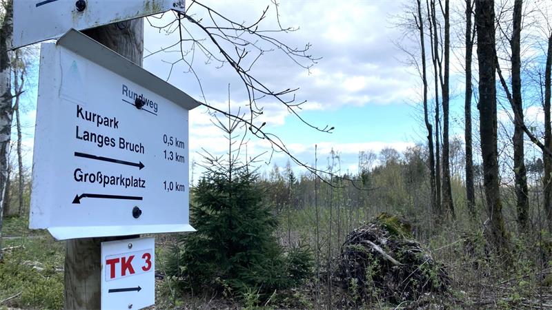 Das Bild zeigt eine Wandertafel, die das Ziel "Langes Bruch" bei Braunlage ausweist.