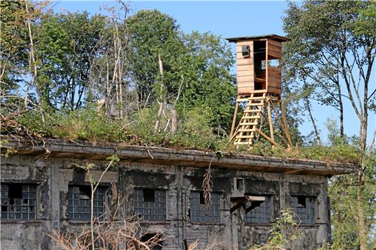 Am Ortsrand von Clausthal-Zellerfeld, am Mittleren Pfauenteich, steht bis 1944 die drittgrößte Sprengstofffabrik des Deutschen Reichs. Foto: Knoke