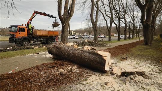 Am Osterfeld hinterließ der Sturm seine Spuren.