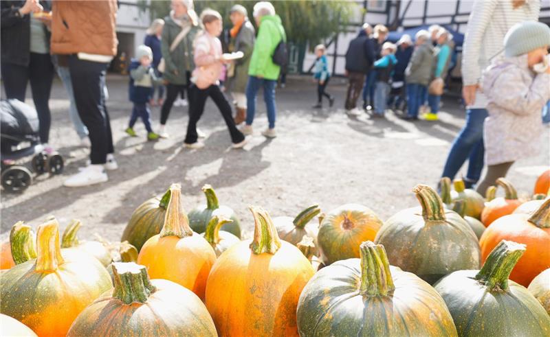 Wie der Kürbismarkt in Westerode Wind und Wetter trotzt Am Sonntag ist der Kürbismarkt gut besucht.