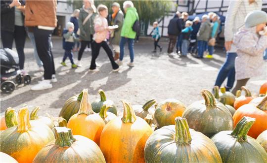 Am Sonntag ist der Kürbismarkt gut besucht.