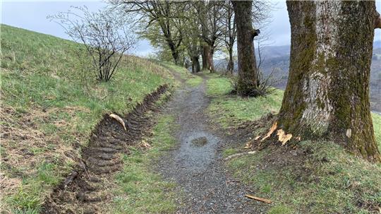 Am Wegrand der Bergwiesen unterhalb des Glockenbergs in St. Andreasberg hat ein großes Fahrzeug sichtbare Spuren hinterlassen.