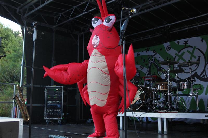 Am Wochenende ging das Rock-am-Beckenrand-Festival in Wolfshagen über die Bühne....