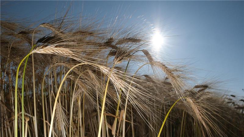 Am Wochenende scheint oft die Sonne.