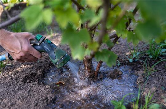 Am kommenden Dienstag hält von 15 bis 17 Uhr an der Rosentorstraße ein Labormobil. Gartenbesitzer können dann das Wasser aus einen Brunnen untersuchen lassen. Foto: picture alliance/dpa | Hendrik Schmidt