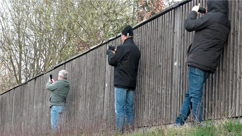 An Unfallstellen mit dem Handy draufhalten und filmen - ein Ärgernis für die Retter. (Symbolbild)
