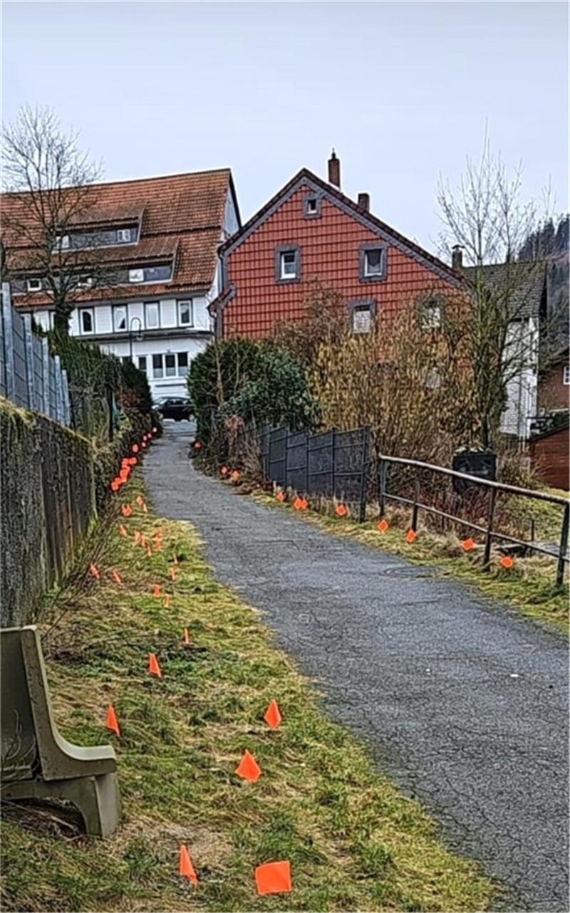 Hundekot in Lautenthal: Anwohnern stinkt es gewaltig An dem Weg zum Markt von der Straße „Am Graben“ aus gesehen, hat der geplagte Anwohner jüngst sogar Fähnchen in die Haufen gesteckt. Foto: Privat