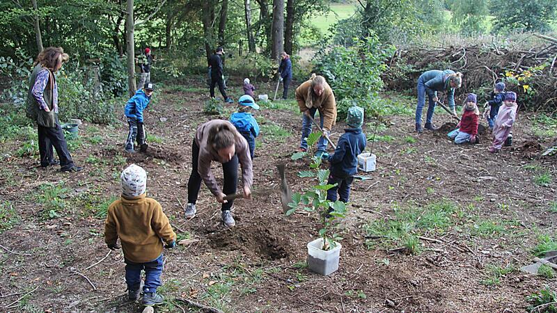 Baumpflanzaktion mit Familien im Waldkindergarten Goslar An der Aktion waren zahlreiche große und kleine Baumpflanzer beteiligt.