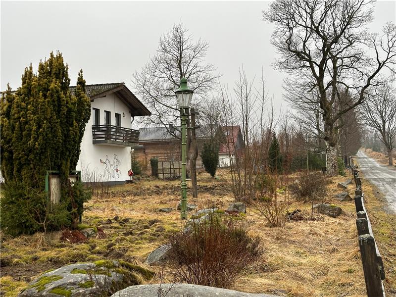 An der Alten Harzburger Straße in Königskrug sollen ein Feriendorf mit acht Häusern und ein Hotel entstehen. Der Rat gab jetzt grünes Licht für diese Millionen-Investition. Foto: Eggers