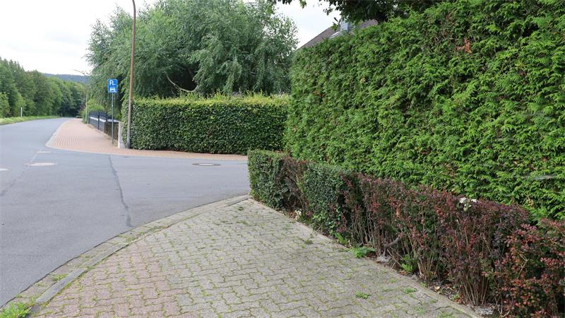 Gehweg mit gepflastertem Boden neben einer Straße, umgeben von hohen und niedrigen Hecken und einem blauen Schild mit weißem Rollstuhlsymbol