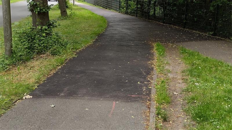 Asphaltierter Weg mit einem schmalen, unbefestigten Trampelpfad rechts daneben und Bäumen links