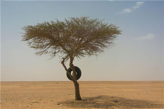 An der Grenze zwischen Saudi-Arabien und dem Jemen sollen Sprengwaffen gegen Migranten eingesetzt werden. (Symbolbild)