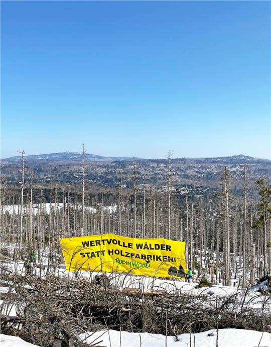 An der L519 wird ein Trsparent entrollt. Dort ist der tote Wald besonders markant zu sehen. Foto: Schlegel