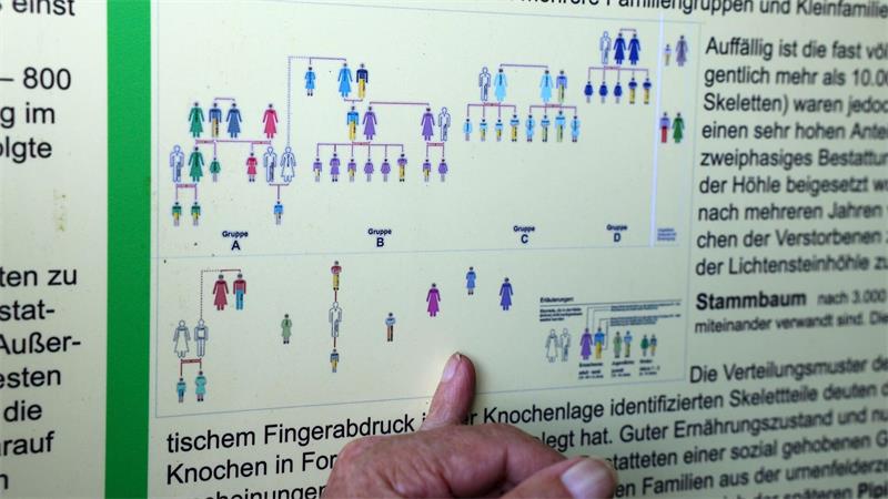 Diese Familie ist seit 122 Generation im Harz verwurzelt An der Lichtensteinhöhle in Osterode am Harz finden sich Informationen über die Stammbaumgeschichte.