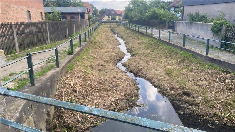 Hochwasserschutz in Lochtum: Dammbau verzögert sich An der Schamlah wurde gemäht.