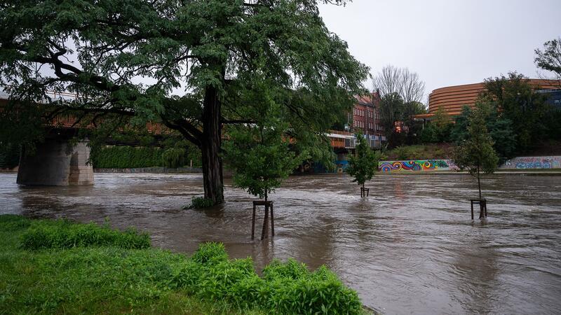 Was hat das erneute Hochwasser mit dem Klima zu tun? An der Stadtbrücke in Görlitz stehen Bäume im Hochwasser der Neiße.