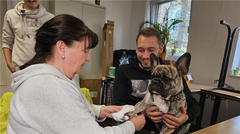 Herz-Druck-Massage beim Hund will gelernt sein An der französischen Bulldogge „Buddy“ übt eine Kursteilnehmerin das Verbinden einer Pfote.