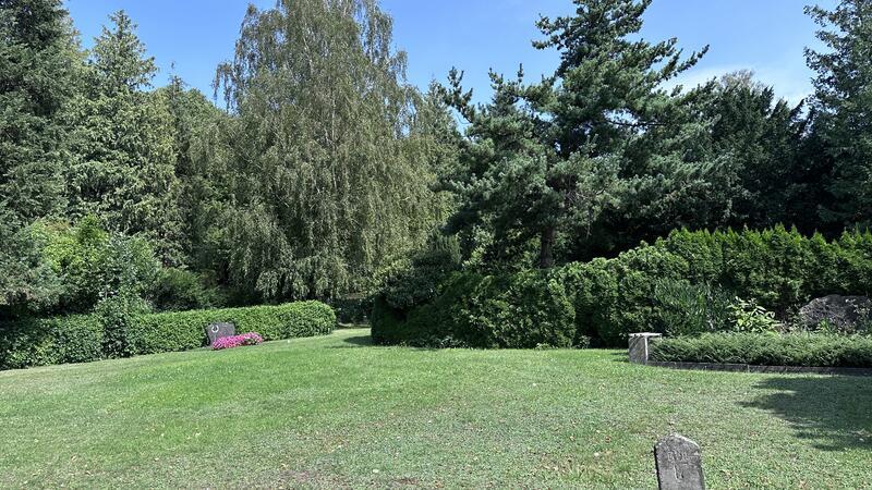 Bad Harzburg will den Friedhof modernisieren An dieser Stelle könnte der Memoriam-Garten stehen.