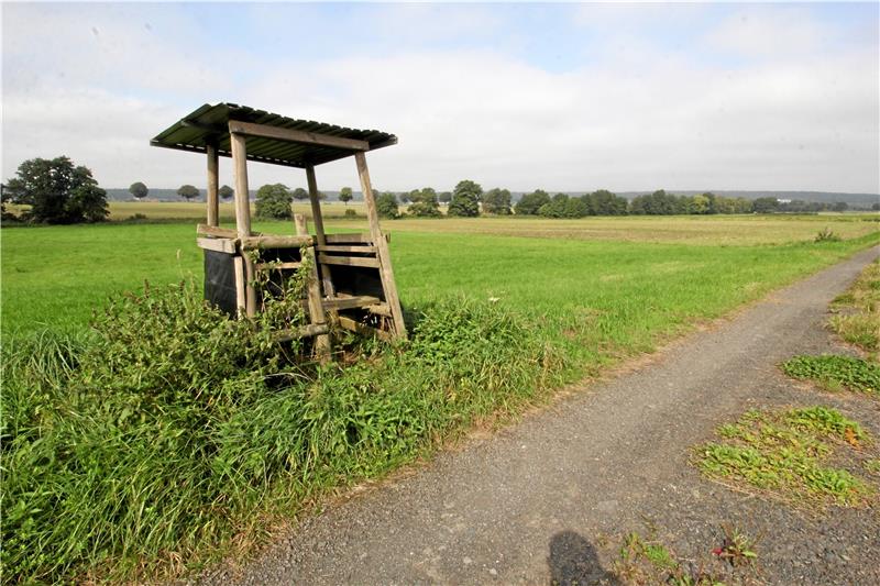 An dieser Stelle soll der Damm für das Rückhaltebecken errichtet werden: Er beginnt am Ansitz, führt nach rechts am Weg entlang bis zum Ende der Wiese und knickt dann rechtwinklig nach links zum Steimker Bach ab, der entlang der ersten Baumreihe fließt. Archivfoto: Kühlewind