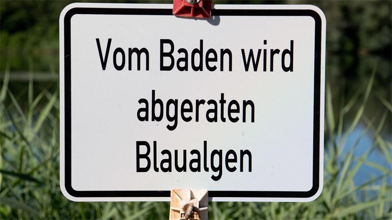 An einigen Seen im Norden werden wegen Blaualgen Badeverbote ausgesprochen. (Symbolbild)