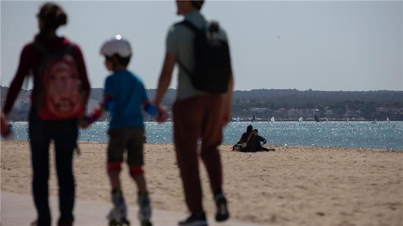 An manchen Stränden Mallorcas hat der Sturm vom Wochenende massenhaft Segelquallen angeschwemmt. Für Menschen sind sie harmlos. Aber sie stinken. (Symbolbild)