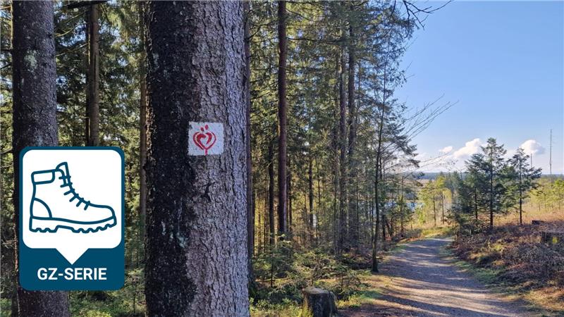 Waldweg mit Bäumen, auf einem Baum ein Schild mit einem roten Herzsymbol und einem stilisierten Menschen, blauer Himmel mit wenigen Wolken
