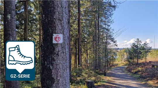 Waldweg mit Bäumen, auf einem Baum ein Schild mit einem roten Herzsymbol und einem stilisierten Menschen, blauer Himmel mit wenigen Wolken