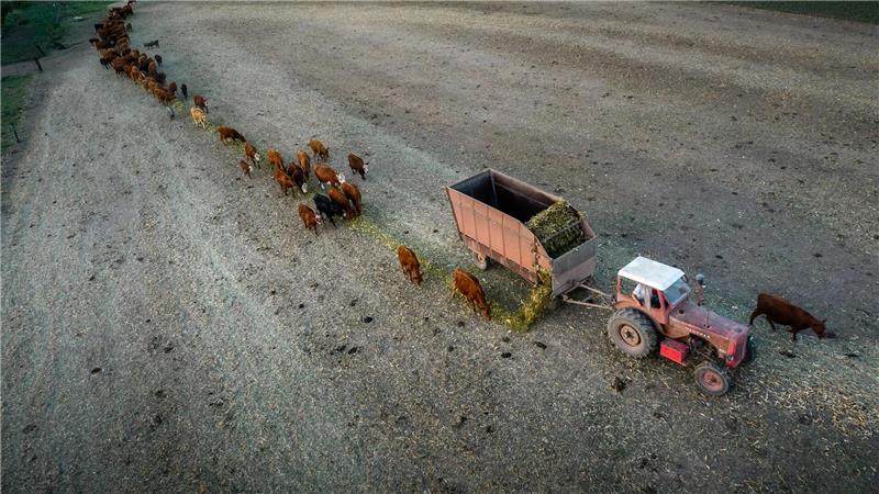 Anfang Februar 2023 trug La Niña zu einer verheerenden Dürre in Argentinien bei. (Archivbild)