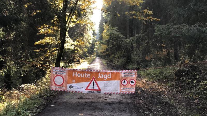 Anfang November startet die Jagdsaison im Bereich Braunlage, und die Wanderwege werden mit Bannern abgesperrt. Archivfoto: Eggers