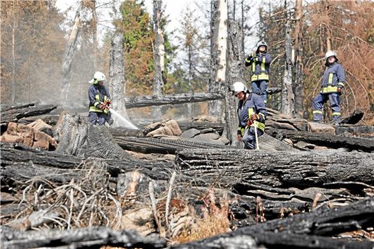 Anfang September: Helfer der Feuerwehr im Einsatzgebiet am Brocken. Archivfoto: Neuendorf